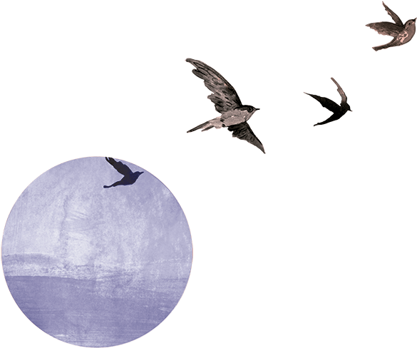 Entradas Recientes - Flock (635x500), Png Download