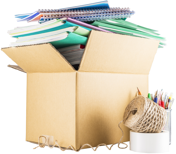 Corporate Moving - Armadillo (627x536), Png Download