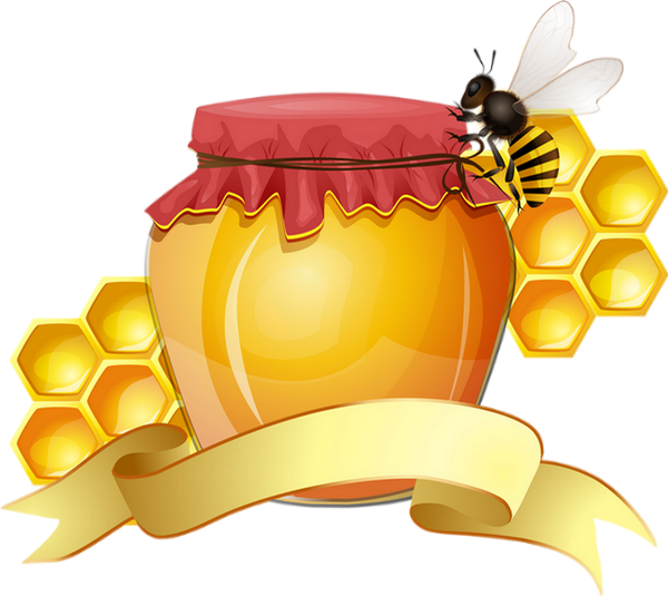 Honey Vector (600x535), Png Download