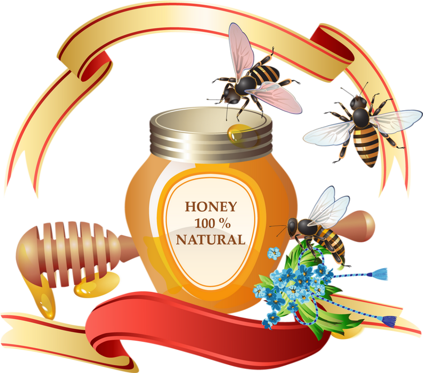 Honey (850x750), Png Download