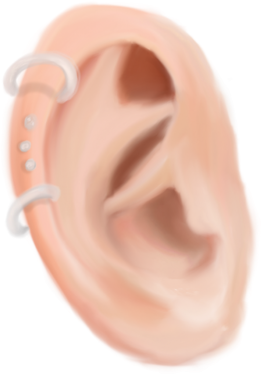 Self-piercing Trend Emerging As A Means Of Expression - Earrings (900x758), Png Download