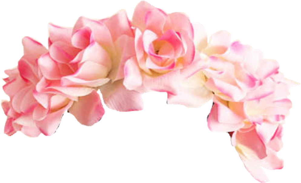 Transparent Image - Transparent Flower Crown (1024x623), Png Download