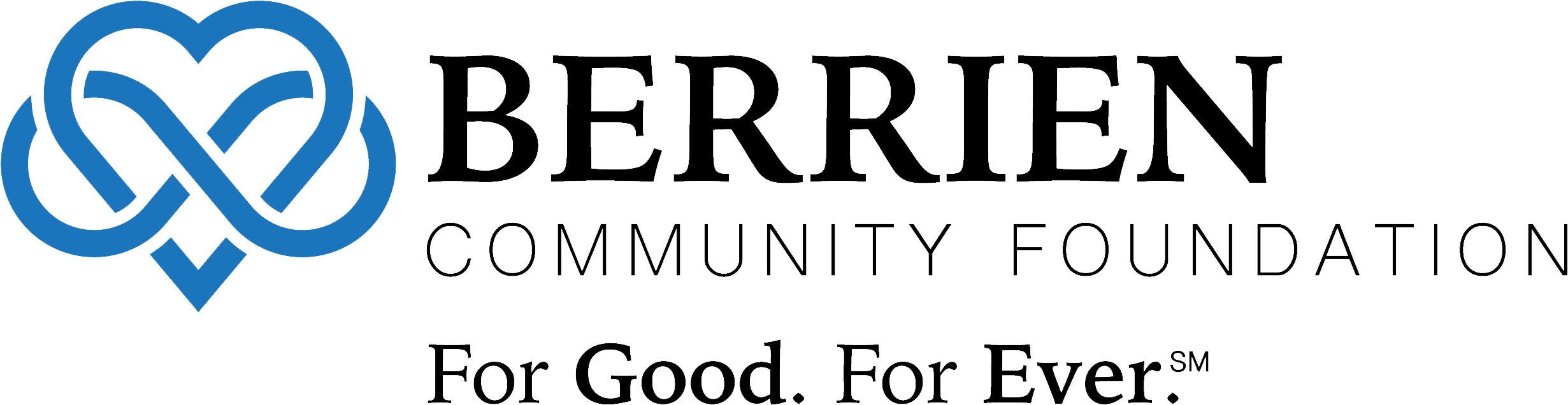Berrien Community Foundation - Human Action (2560x675), Png Download