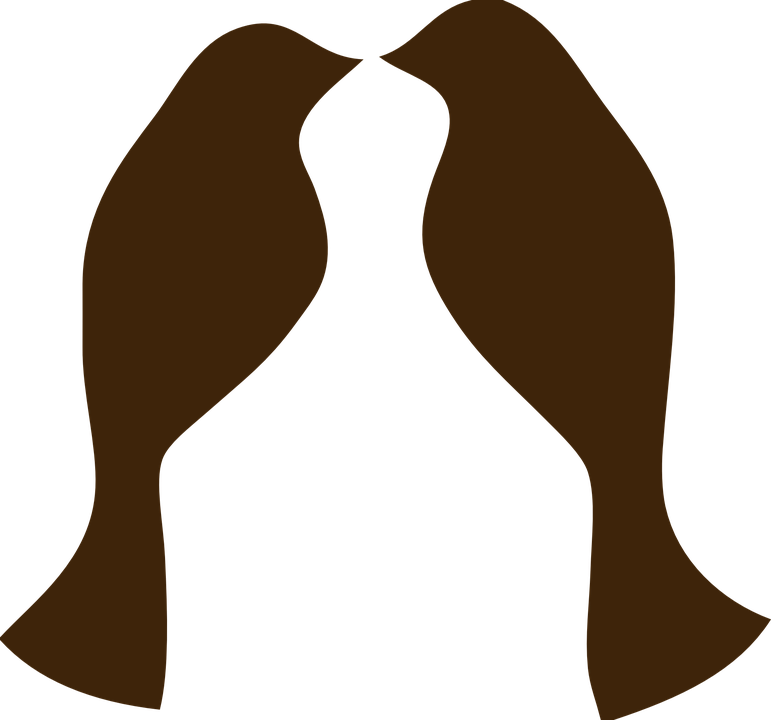 Bird Couple Images - 2 Love Birds Silhouette (771x720), Png Download