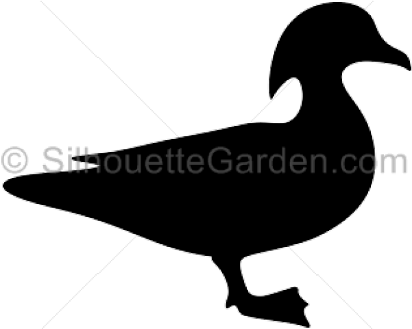 Silhouette Clipart Duck - Flying Wood Duck Silhouette (640x480), Png Download