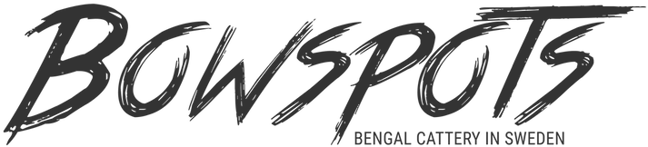Klar Logga Hd - Babel Js (969x531), Png Download