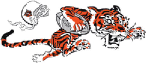 Bengal Clipart Cincinnati Bengals - 1968 Cincinnati Bengals Logo (640x480), Png Download