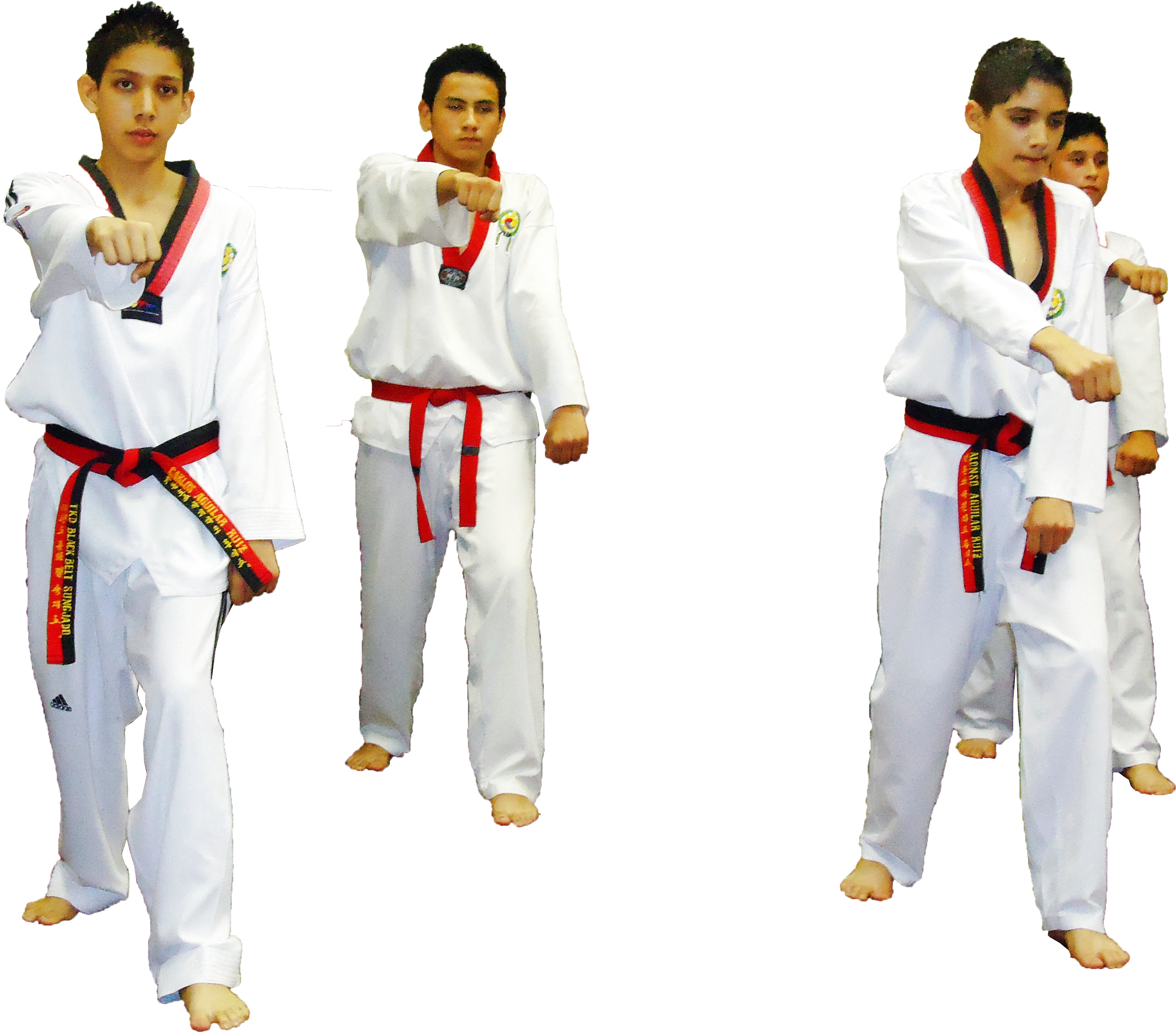 De Acuerdo Con Una Reconocida Página De Taekwondo, - Brazilian Jiu-jitsu (4320x3240), Png Download