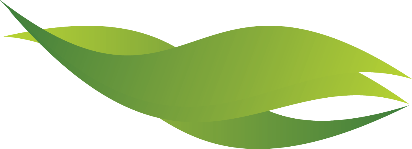 Green Wave - Tree (1395x505), Png Download