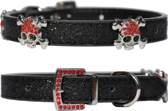 Candy Finish Black Dog Collar With Buccaneer Style - Buckle (555x700), Png Download