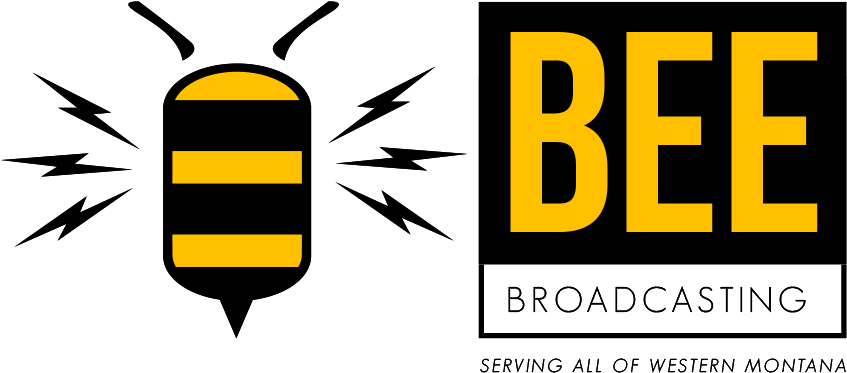 Bumblebee (1000x508), Png Download