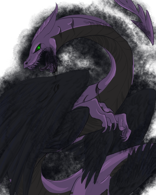Nature Gen1- Shadow Iridescent/charcoal Peregrine/caribbean - Dragon (500x625), Png Download