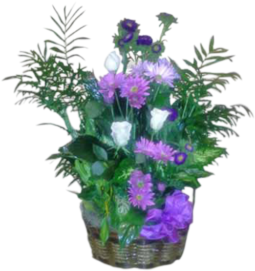 Purple Garden - Violet Dish Garden (600x600), Png Download