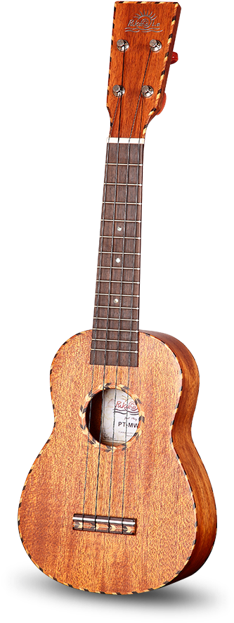 Pt-mw Series - Acoustic Guitar (600x1072), Png Download