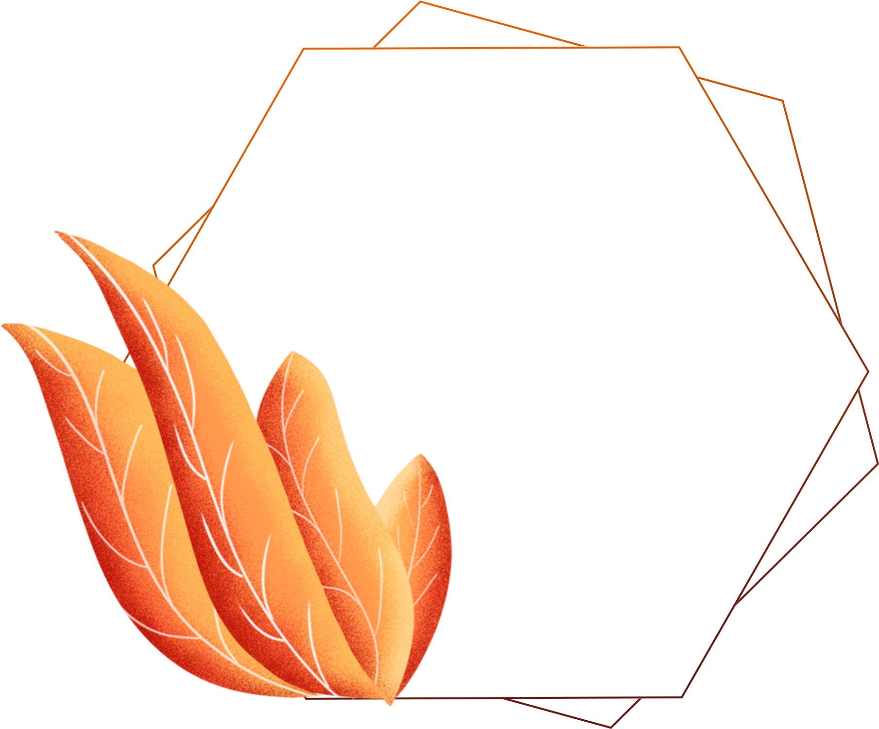 Hand Painted Border Plants Leaves Coral Orange Png - Construction Paper (2000x2000), Png Download