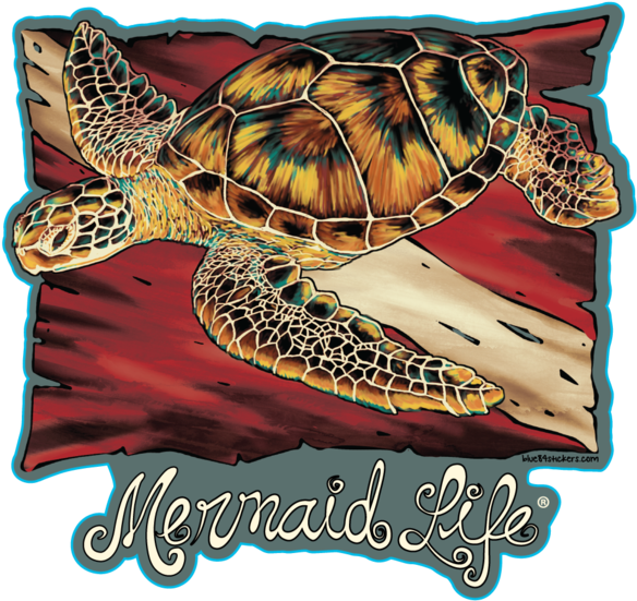 Decals - Mermaid Life - Hawksbill Sea Turtle (600x568), Png Download