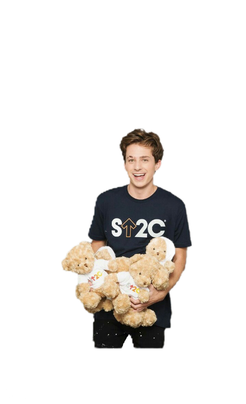 Teddy Bear (480x789), Png Download