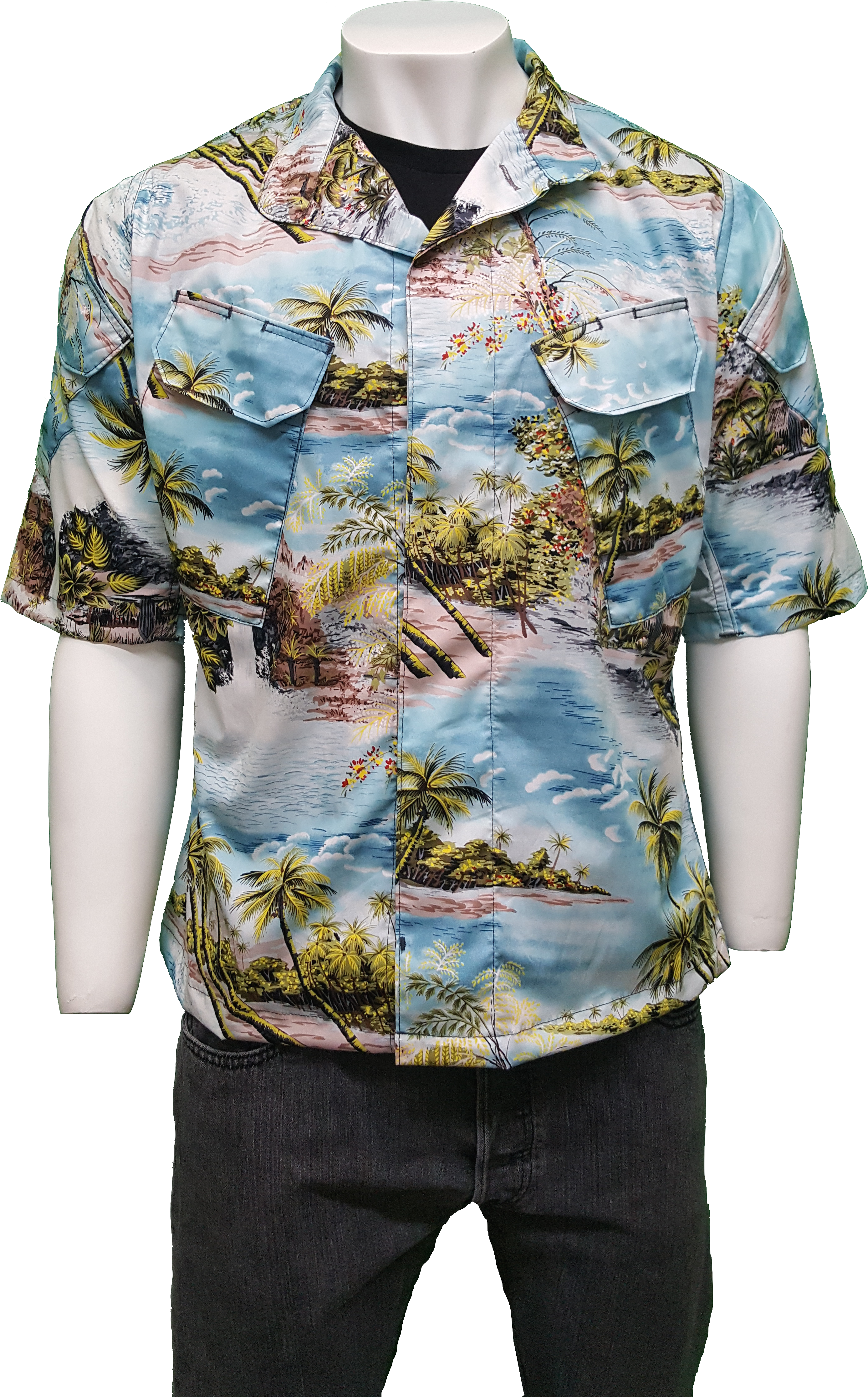 Hawaiian Shirt Png (2988x5312), Png Download