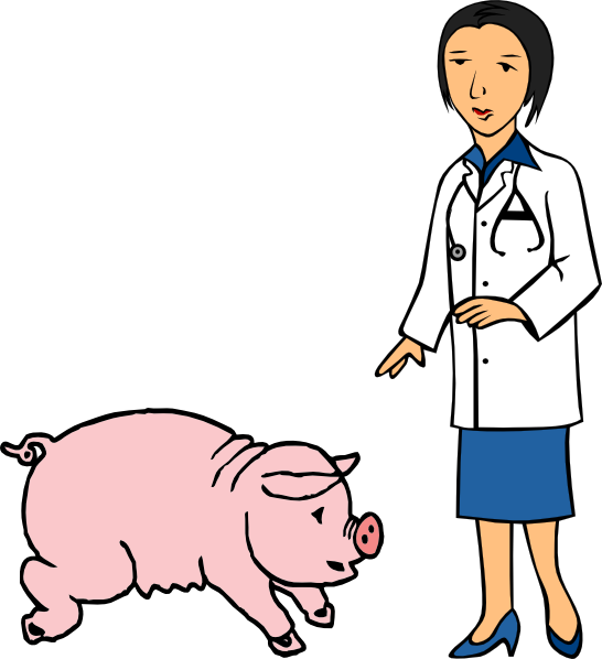 Doctor And Pig Clip Art - Sau Clipart (546x598), Png Download
