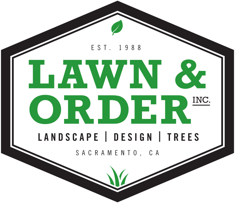 Sacramento Landscape Design & Construction - Conservas Del Norte (821x710), Png Download