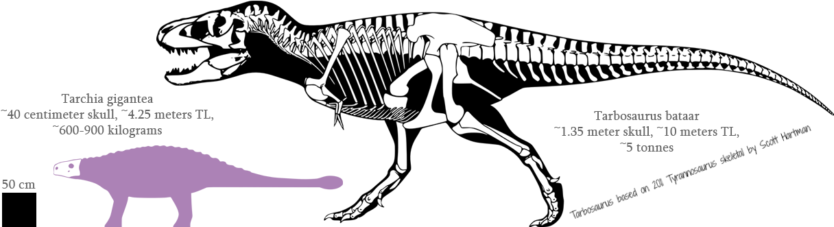 Dinosaur Skeleton, Dinosaurs, Skulls, Skull Art, Skull - Tyrannosaurus (1224x330), Png Download