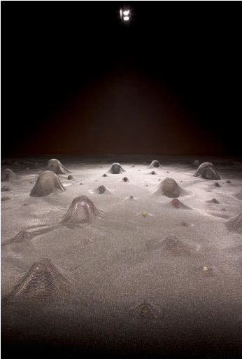 Glove Trotter3 - Moon (752x511), Png Download