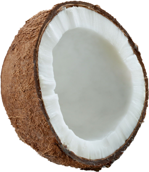 Coconut - Wood (866x650), Png Download