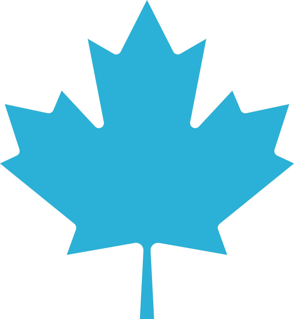Maple Leaf Bq - Canadian Maple Leaf (945x1024), Png Download