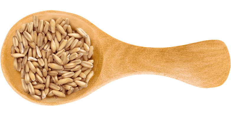 Spelt - Barley (900x393), Png Download