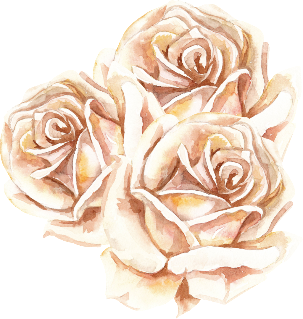 Korean Flower Transparent - Floribunda (1024x1079), Png Download