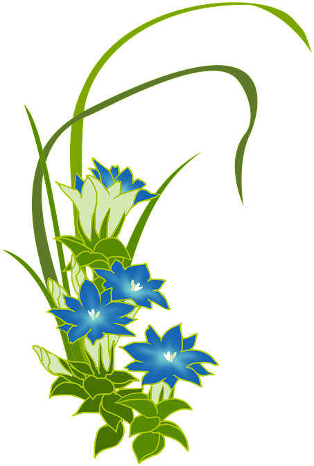 Gentian, Wild Grass, Blue, Flowers, Fuderindou - Transparent Flower Green Blue (492x720), Png Download