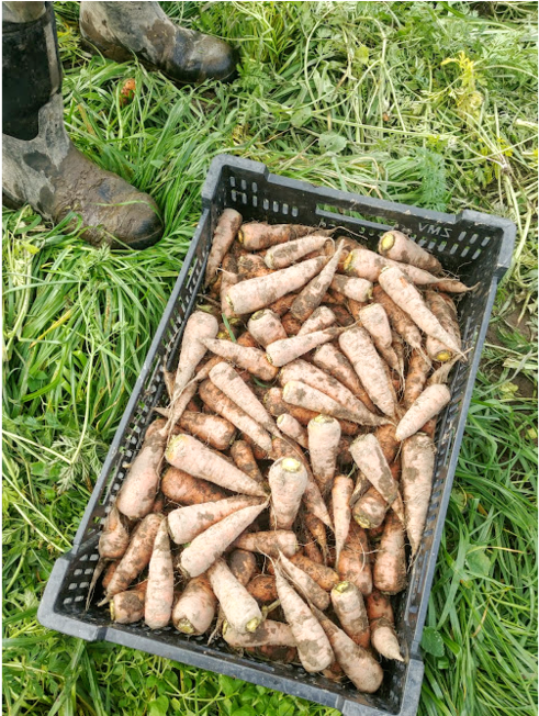 Rcr Crate Mud - Grass (1000x651), Png Download