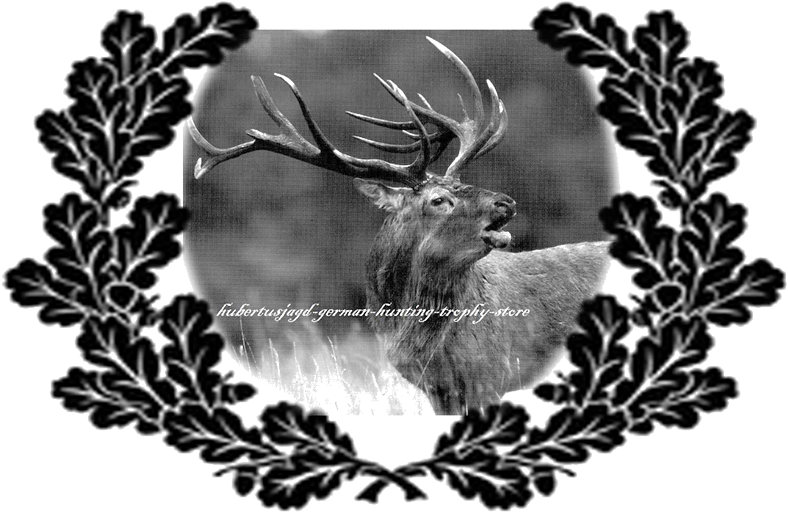 Image1 - Elk (800x540), Png Download