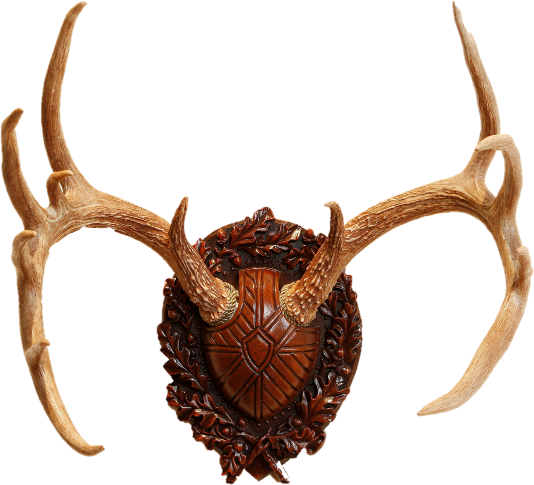 Deer Horns Png (1265x977), Png Download