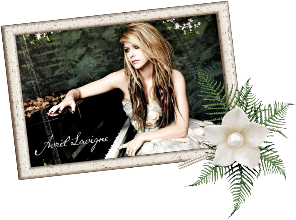 Photo Shoot (1024x750), Png Download