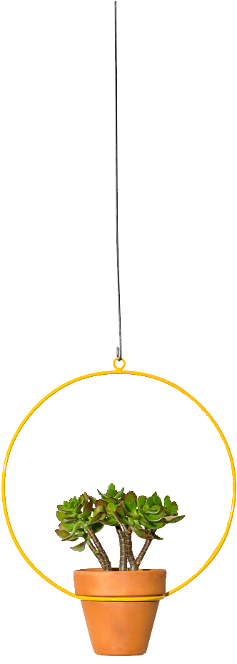 Hanging Circle Planter 10" - Flowerpot (933x1400), Png Download