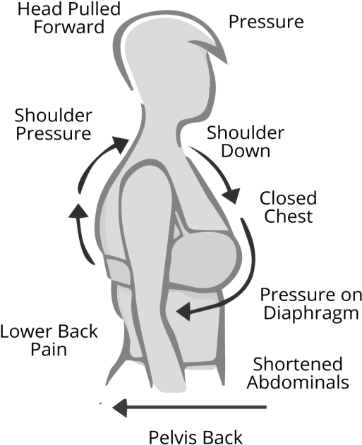 Ewa Michalak, Plus Size Model, Plus Size Lingerie, - Poster (640x656), Png Download