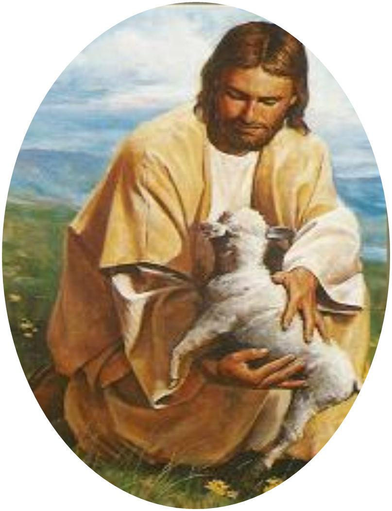 Jesus And Sheep (807x1052), Png Download
