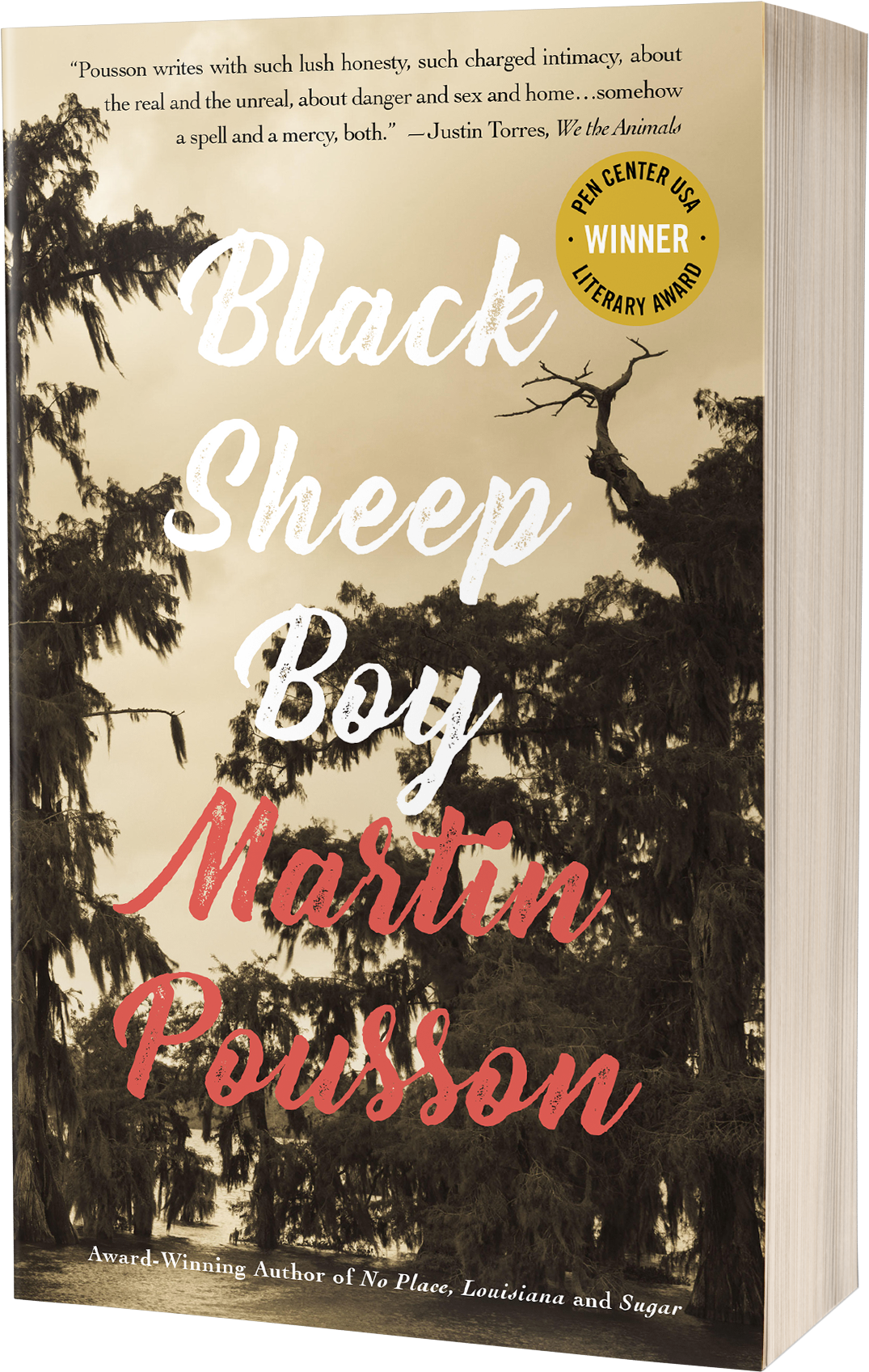 Black Sheep Boy - Poster (1318x1900), Png Download