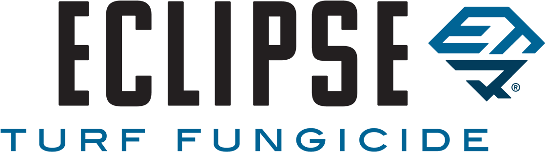 Graphics (1200x381), Png Download