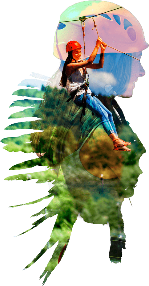 Macaw (678x1030), Png Download