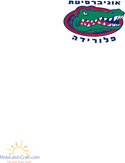 Florida Gators Football (583x750), Png Download