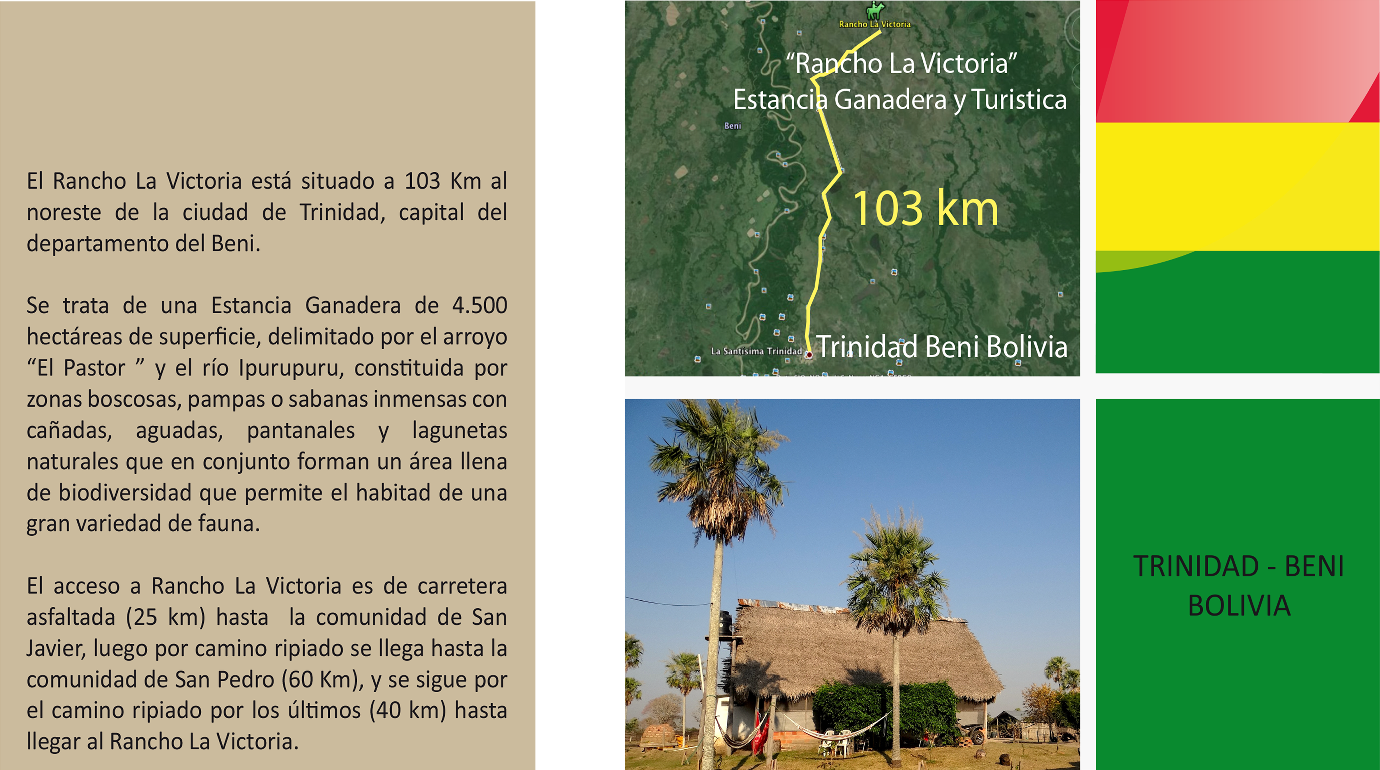 Contacto - Sabal Palmetto (5610x2835), Png Download