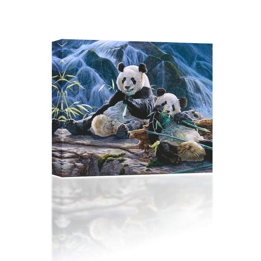 Panda Near Waterfalls (1024x1024), Png Download