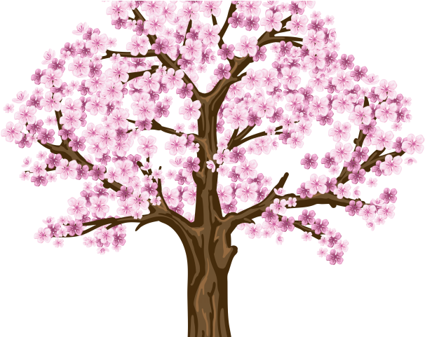 Sakura Clipart Dogwood Tree - Cherry Blossom Tree Png Hd (640x480), Png Download