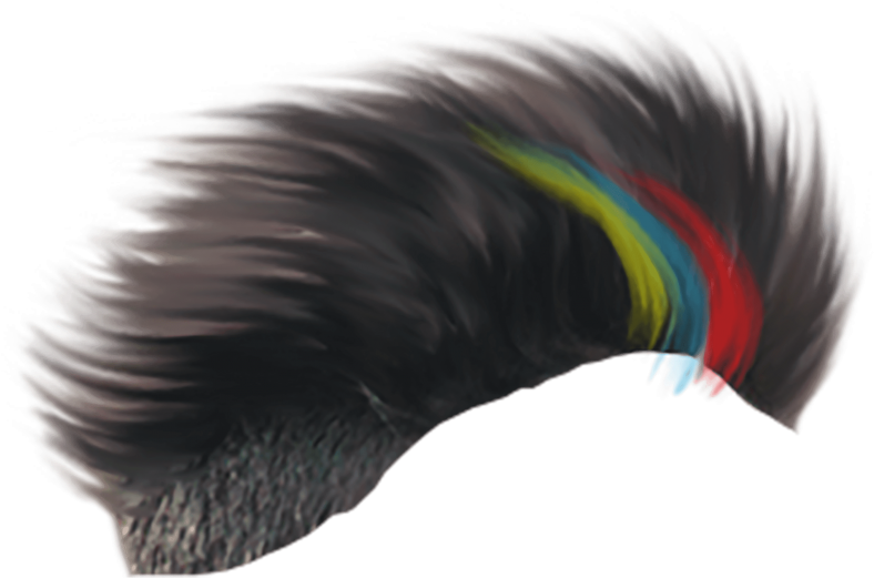 Free Png Download Hair Png Images Background Png Images - Hair Style For Photo Editing (850x533), Png Download