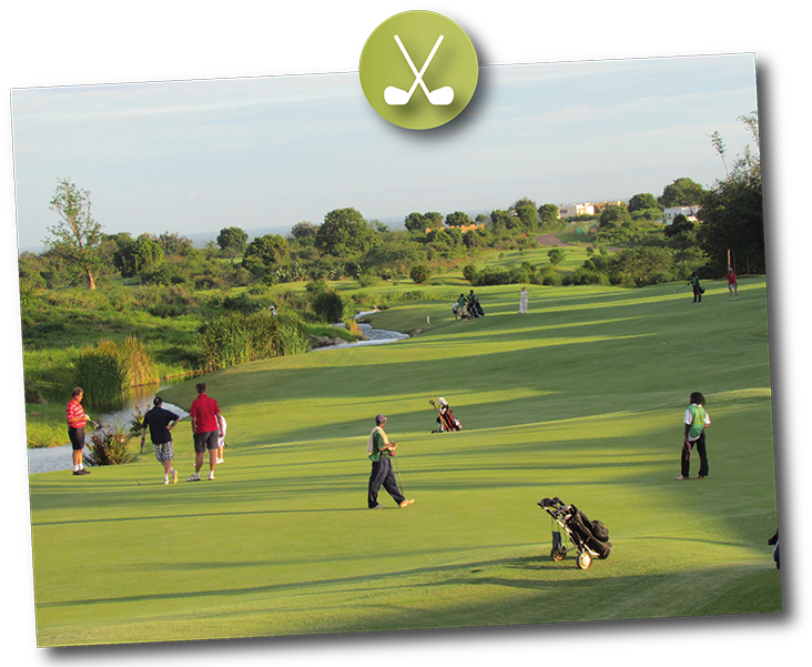 Activity Safaris Golf Safari - Grass (800x600), Png Download