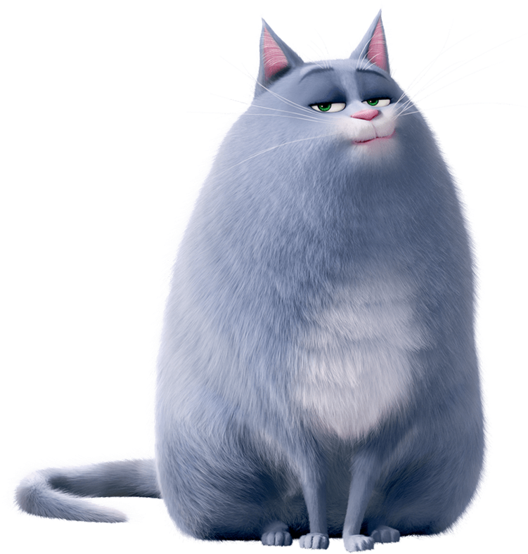 The Secret Life Of Pets Chloe - Chloe Secret Life Of Pets (800x884), Png Download