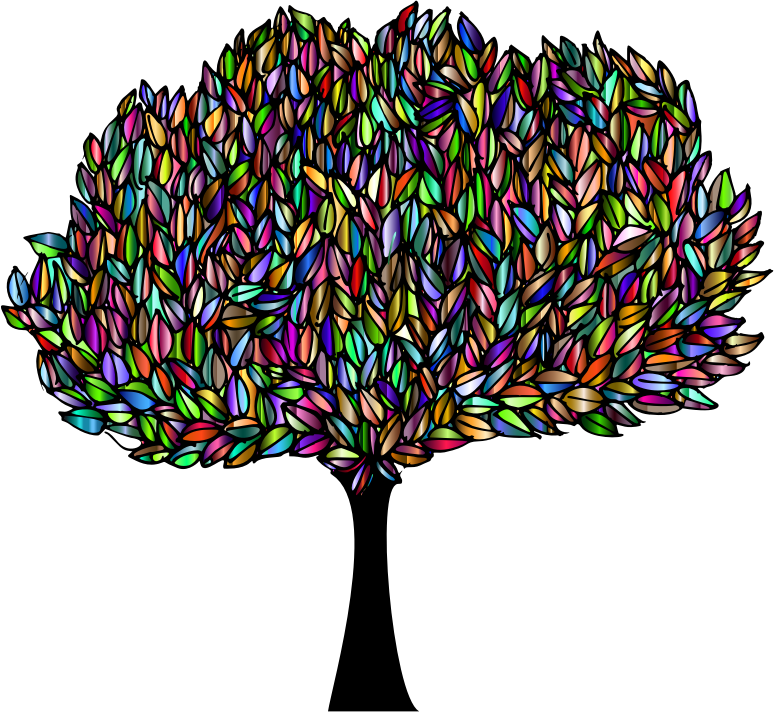 Banyan Tree Chromatic (774x712), Png Download
