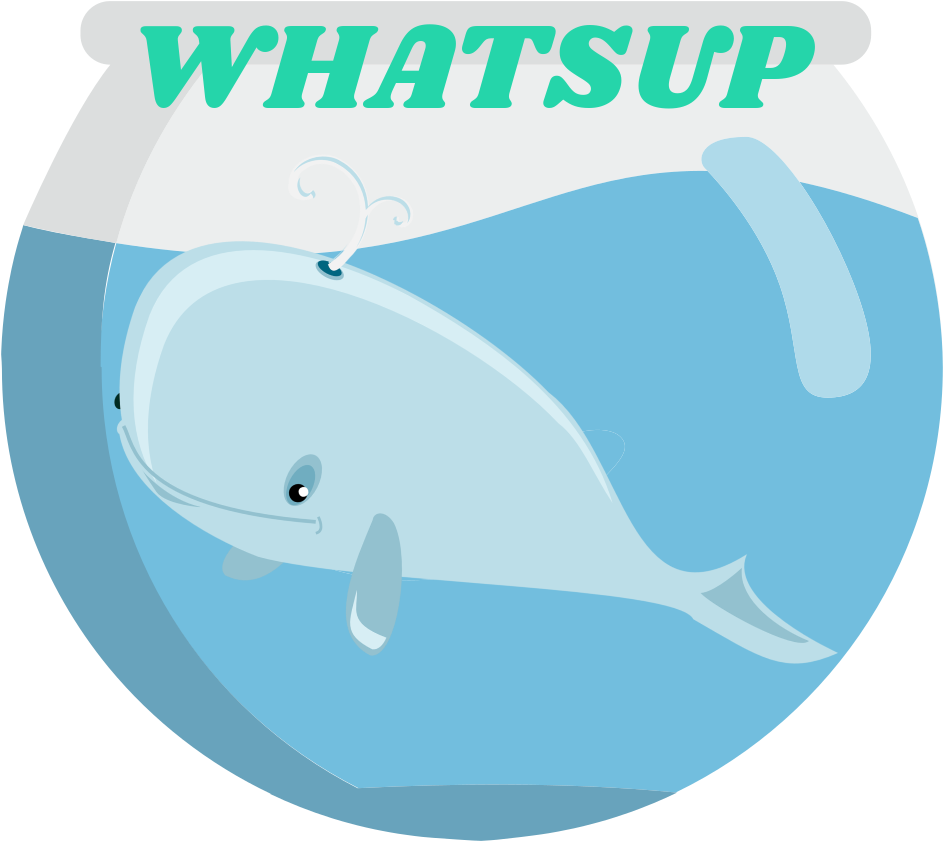 Whatsup 1 Original - Whale (1024x1024), Png Download